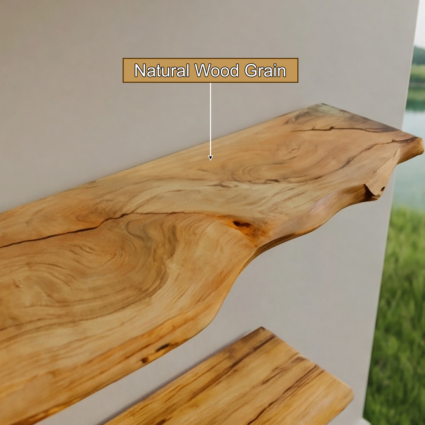 Elara Organic Modern Solid Wood Tree Bookshelf
