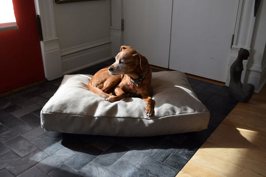 Hemp Dog Bed with CertiPUR-US Foam Fill